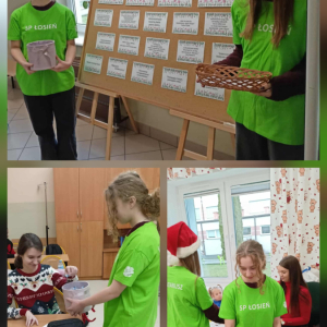 5 grudnia – Międzynarodowy Dzień Wolontariusza